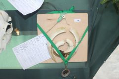 Prehliadka2018_61
