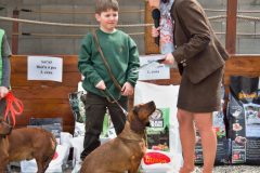 Den-pol-kynologie-OPK-P-B-2017-11