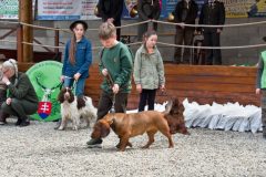 Den-pol-kynologie-OPK-P-B-2017-12