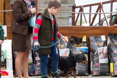 Den-pol-kynologie-OPK-P-B-2017-13