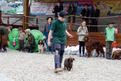 Den-pol-kynologie-OPK-P-B-2017-15