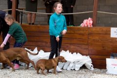 Den-pol-kynologie-OPK-P-B-2017-34