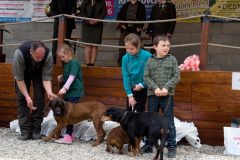 Den-pol-kynologie-OPK-P-B-2017-35