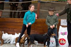 Den-pol-kynologie-OPK-P-B-2017-36