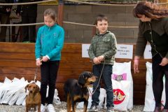 Den-pol-kynologie-OPK-P-B-2017-37