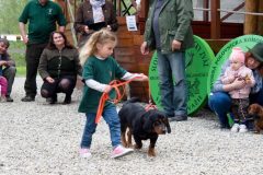 Den-pol-kynologie-OPK-P-B-2017-41