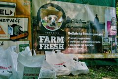 Skusky_brloharenia-010